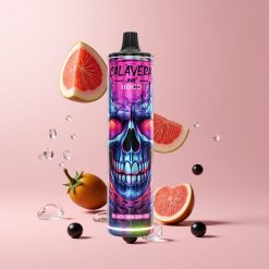 Black Dragon Ice JNR Calavera 11000 Puffs 850mAh Type-C Disposable Vape