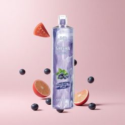 Blueberry Mint JNR Shisha Hookah 12000 Puffs 750mAh 24ml Mesh