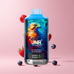 Blueberry Raspberry JNR Falcon X 18000 Puffs 24ml Dual Mesh Digital Type-C