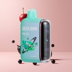 Mintz GEEK BAR Pulse 15000 Puffs 16ML 5% Nicotine USB-C