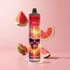 Watermelon Ice JNR Calavera 11000 Puffs 850mAh Type-C Disposable Vape